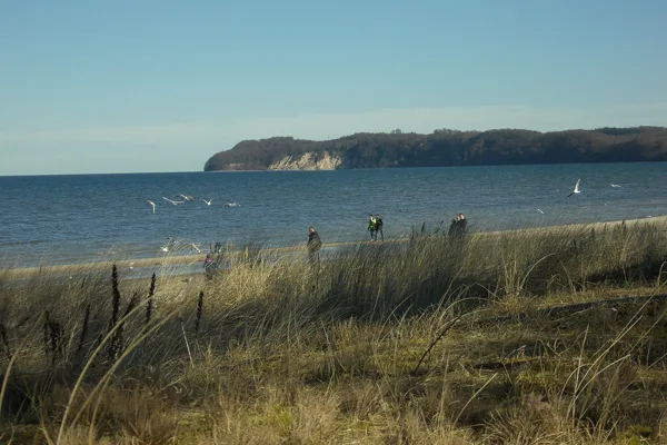 Spaziergänger an einer Küste mit Dünen, Meer und Möwen
