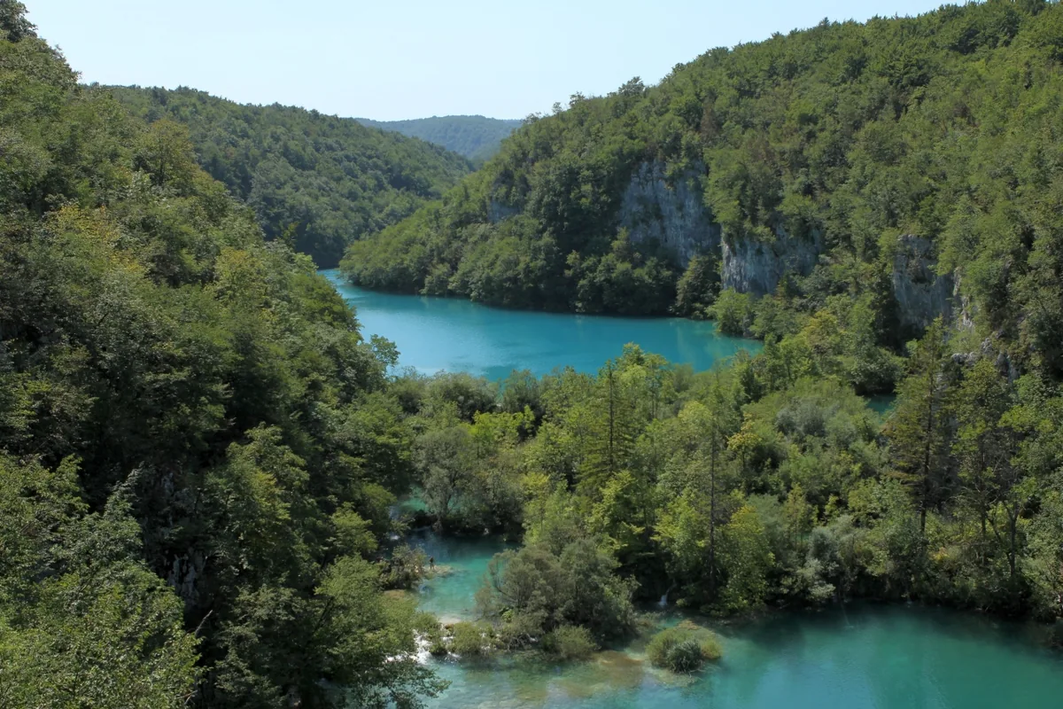 Landschaft mit Seen und Wald