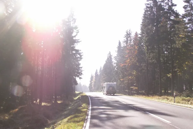 Wohnmobil auf einer Waldstraße