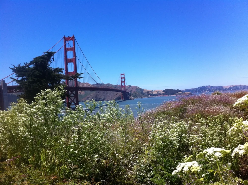 Golden Gate Bridge über der Bucht von San Francisco